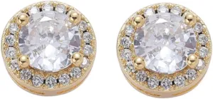 24K Gold Plated Iced Out CZ Hip Hop Stud Earrings Party Cubic Zirconia Earrings for Men Women