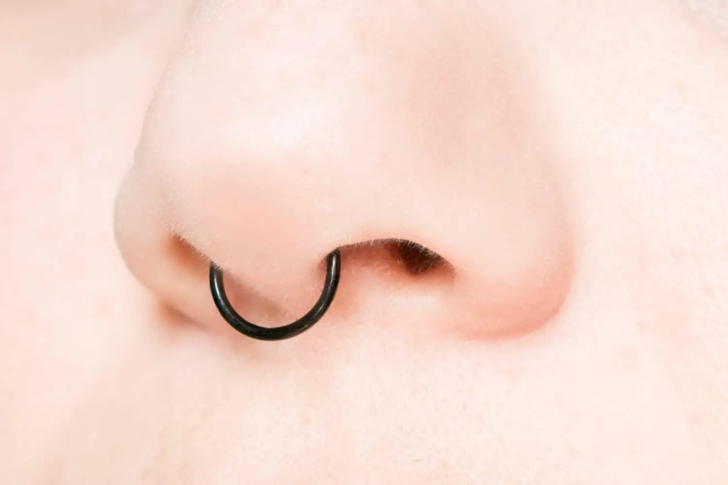 Anicina 16G Septum Rings Hoop Jewelry Nose Ring Horseshoe Stainless Steel Cartilage Earrings Helix Tragus Piercing