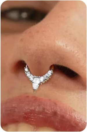 BodyBonita 16G Septum Rings Jewelry - Cubic Zirconia Luxe 316L Stainless Steel Hinged Nose Rings Hoops for Women Conch Piercing Jewelry Tragus Daith Helix Earring 14K Gold Plated/Silver 8 mm/10 mm