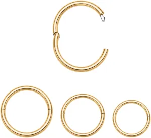 FUNLMO 3pcs Titanium Hinge Segment Ring for Nose Septum Conch Daith Helix Tragus Rook Cartilage Piercing Half Closure New Secure Hook 18G 16G 6mm to 12mm