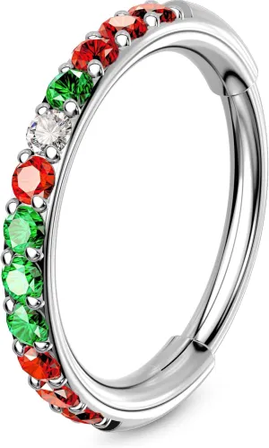 OUFER Nose Rings Hoops, 316L Surgical Steel Nose Rings, 20G Hinged Colorful CZ Rook Piercing Jewelry, Septum Clicker Lip Rings Cartilage Conch Daith Tragus Daith Earrings-6mm/7mm/8mm